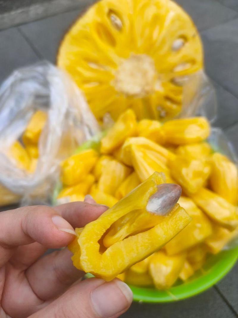 菠萝蜜产地直发，果形饱满，香甜浓郁，一手货源，包找回头车