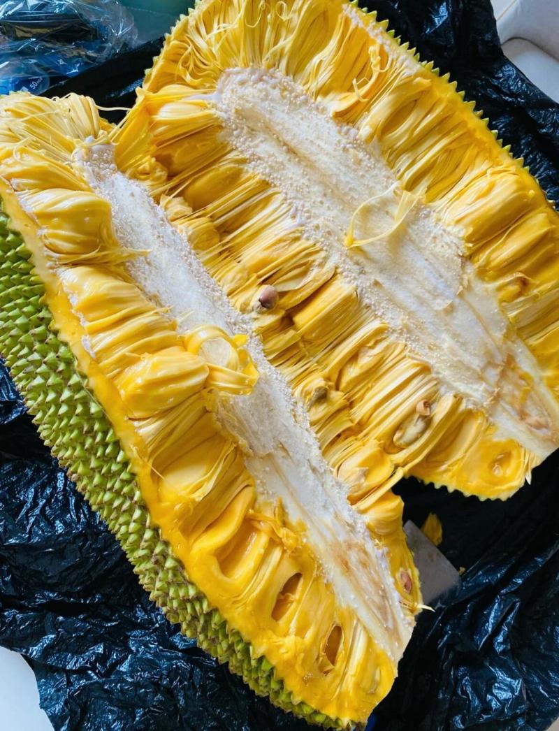 菠萝蜜产地直发，果形饱满，香甜浓郁，一手货源，包找回头车