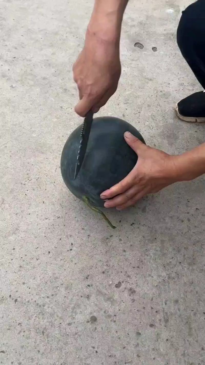黑皮无籽西瓜露天一茬瓜专业农产品代办近十年大量现货