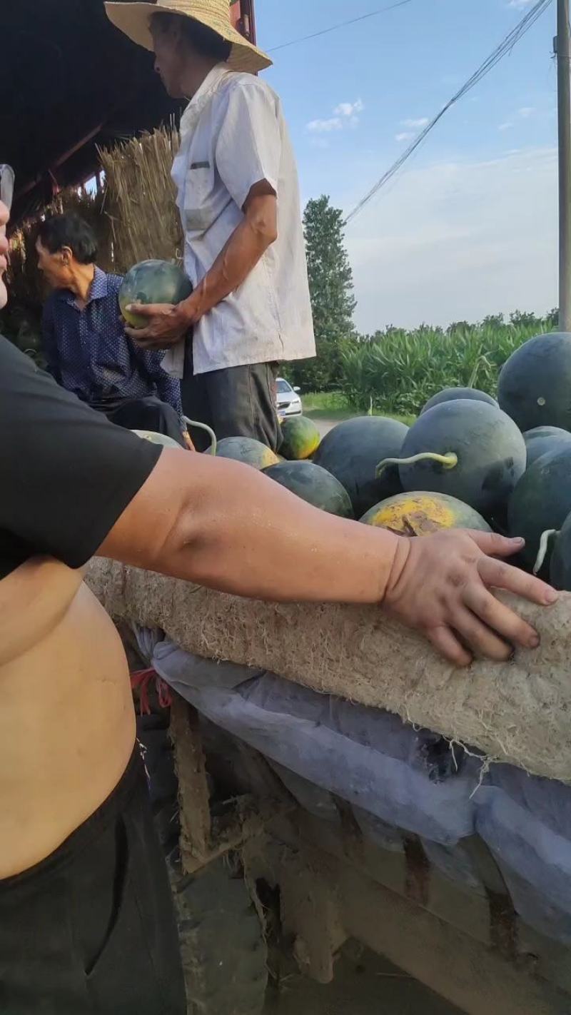 黑皮无籽西瓜露天一茬瓜专业农产品代办近十年大量现货