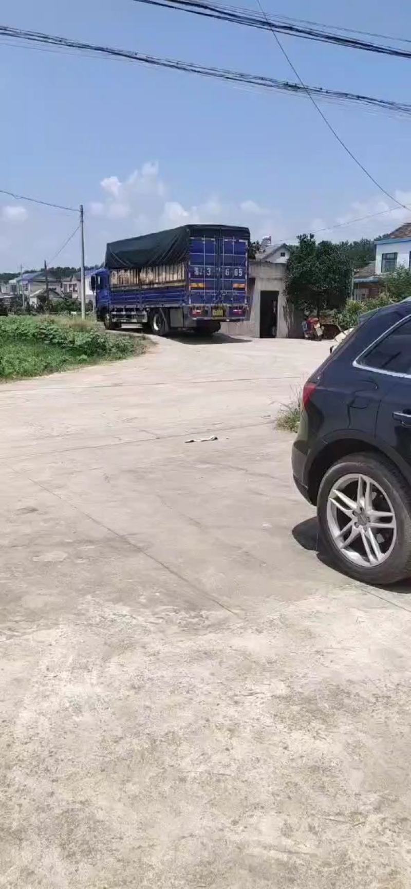 黑皮无籽西瓜露天一茬瓜专业农产品代办近十年大量现货