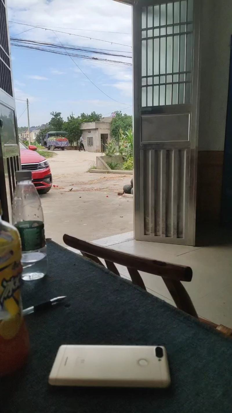 黑皮无籽西瓜露天一茬瓜专业农产品代办近十年大量现货