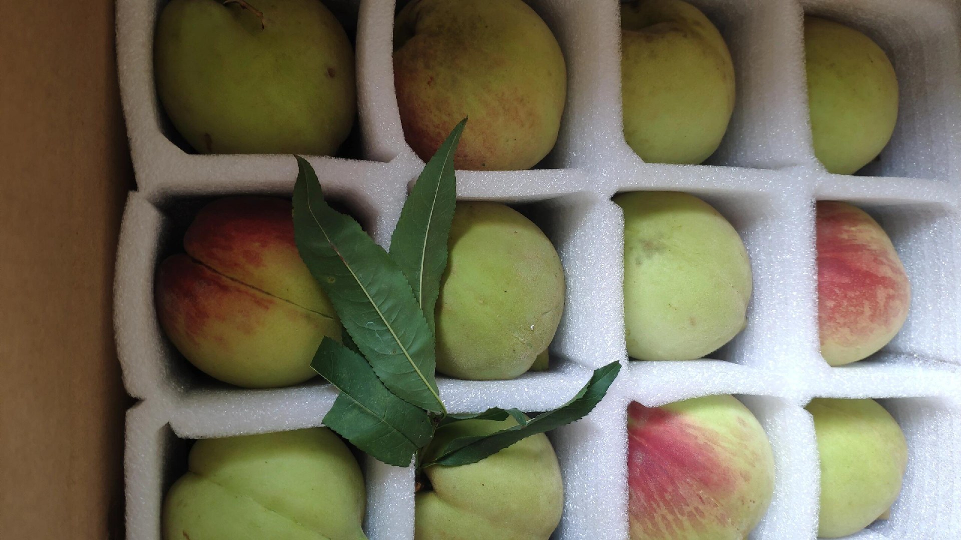 脆桃鹰嘴桃特写