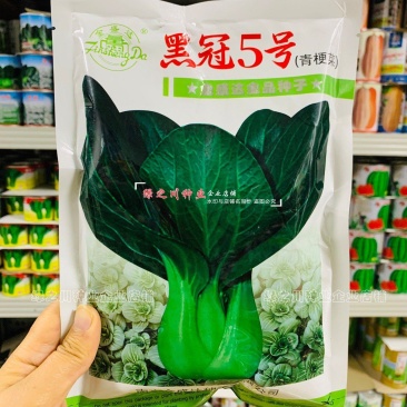 黑冠5号青梗菜种籽大头束腰墨绿色苏州青种子秋冬蔬菜籽种