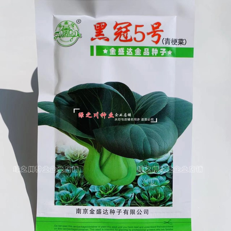 黑冠5号青梗菜种籽大头束腰墨绿色苏州青种子秋冬蔬菜籽种
