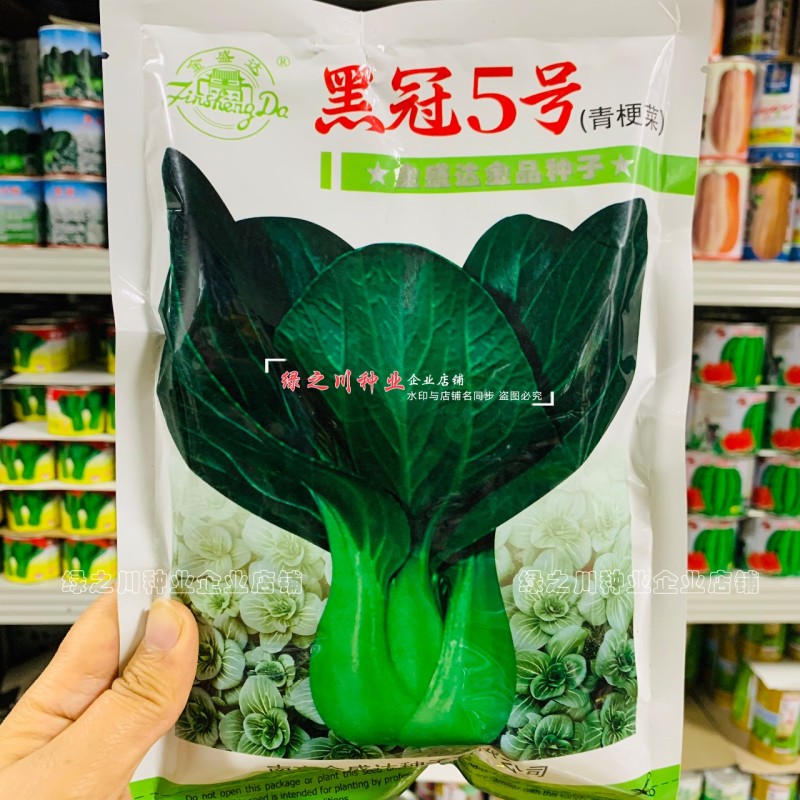 黑冠5号青梗菜种籽大头束腰墨绿色苏州青种子秋冬蔬菜籽种
