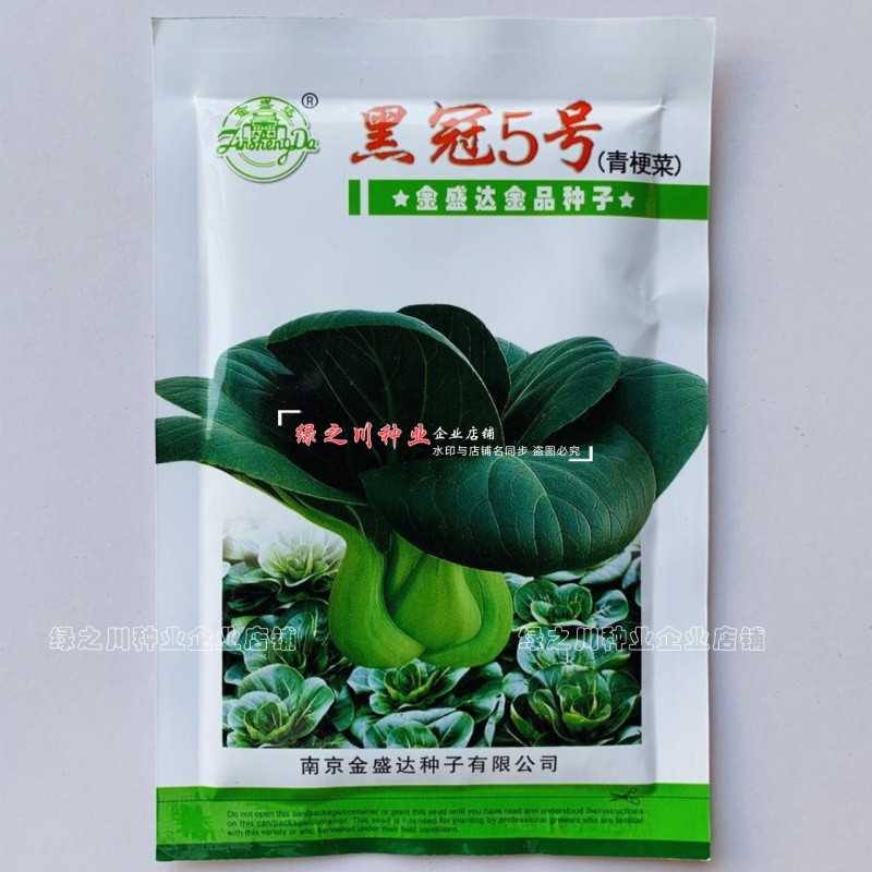 黑冠5号青梗菜种籽大头束腰墨绿色苏州青种子秋冬蔬菜籽种