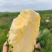 海南凤梨13号冬蜜凤梨，整车发货，一件代发，价格实惠