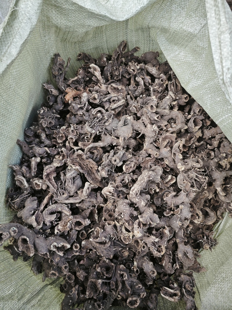 出售东北野生升麻