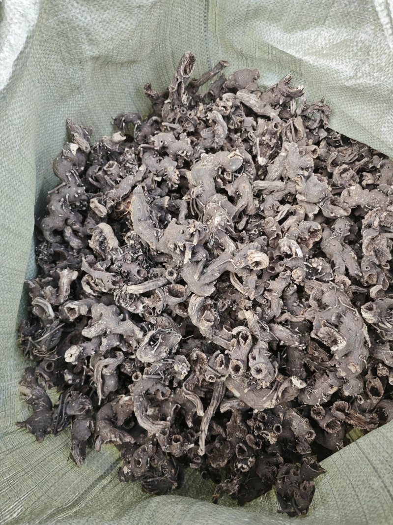 出售东北野生升麻