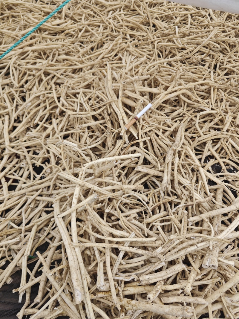 东北野生白鲜皮机器开口统条