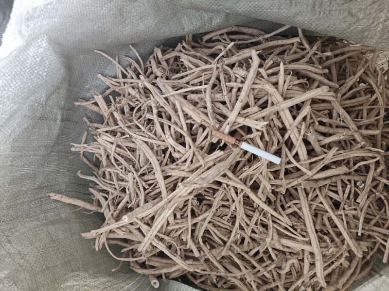 东北野生白鲜皮机器开口统条