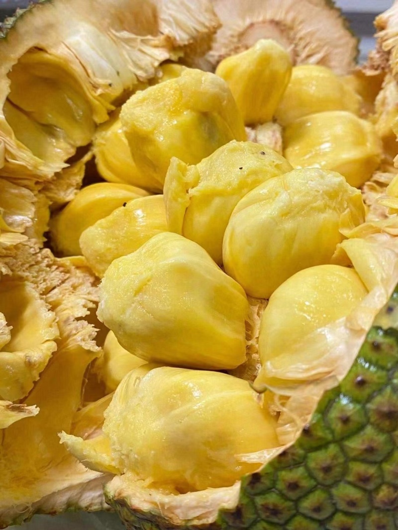 海南榴莲蜜尖蜜拉软糯香甜，整车一件代发，价格实惠果地直发