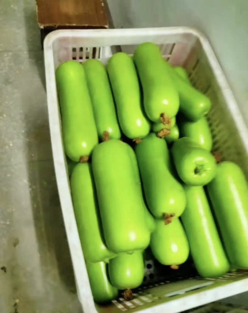 黄瓜丝瓜辣椒洋葱茄子土豆苦瓜各种叶菜等所有蔬菜都有