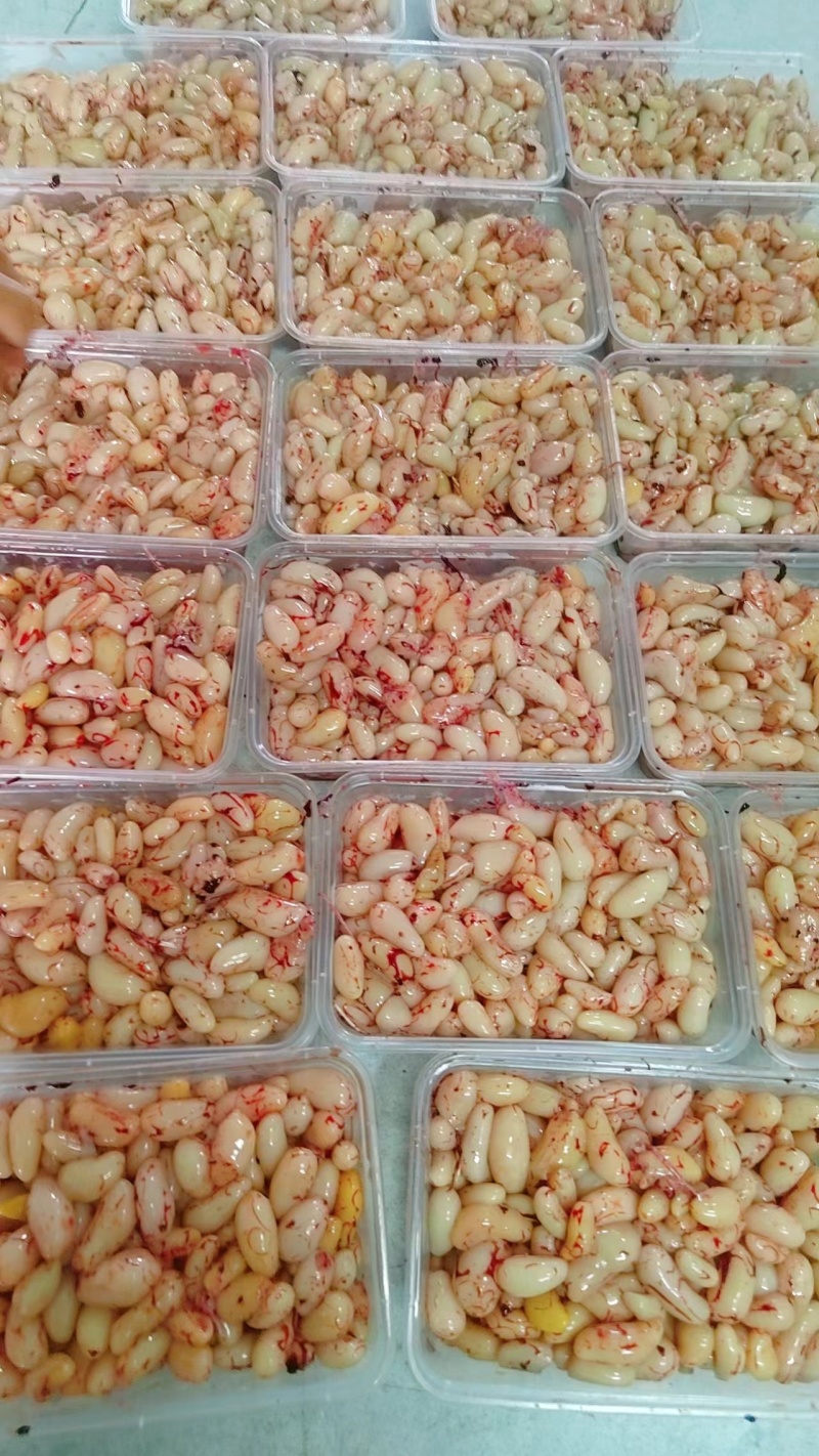 新鲜鸡腰子。