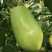 青茄子，茄子产地一条龙服务，量大从优，价格美丽