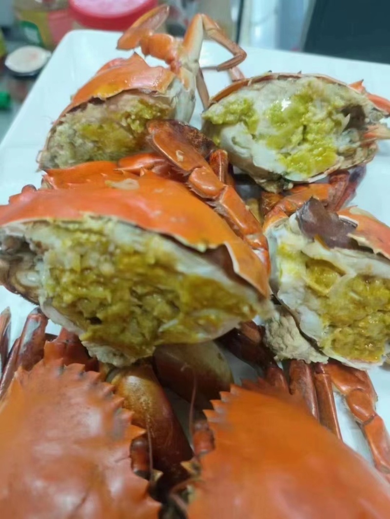 【锯缘青蟹】一级黄膏肉蟹肥度包肥顶膏顶肉那种靓螃蟹