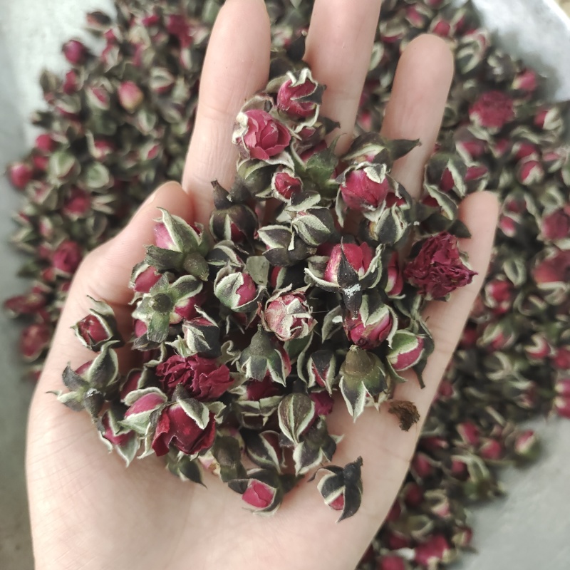 玫瑰，金边玫瑰，平阴玫瑰，产地货源，保质保量，批发各种中