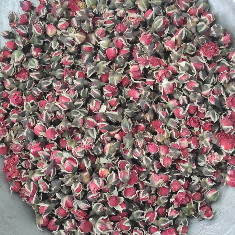 玫瑰，金边玫瑰，平阴玫瑰，产地货源，保质保量，批发各种中