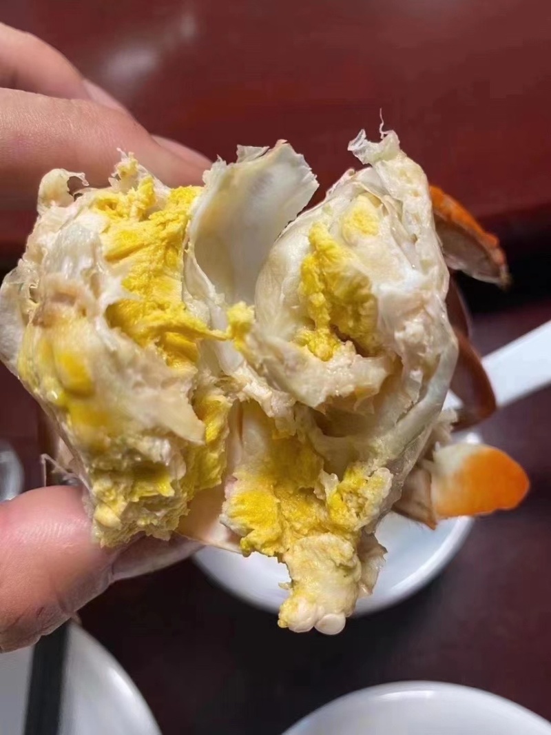 【锯缘青蟹】一级黄膏肉蟹肥度包肥顶膏顶肉那种靓螃蟹