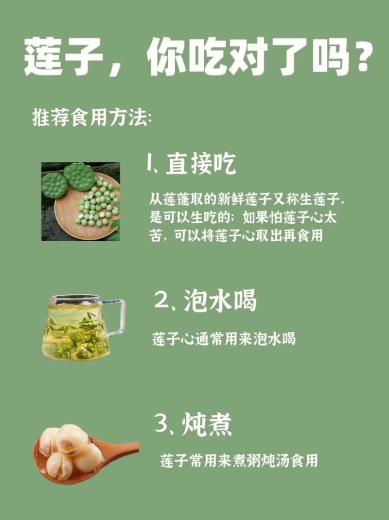 大量新鲜白莲子原产地上市，保证现采现发鲜莲草莲