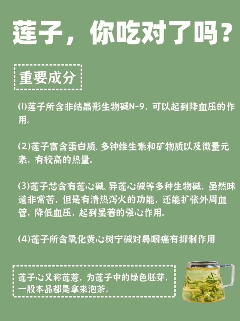 大量新鲜白莲子原产地上市，保证现采现发鲜莲草莲