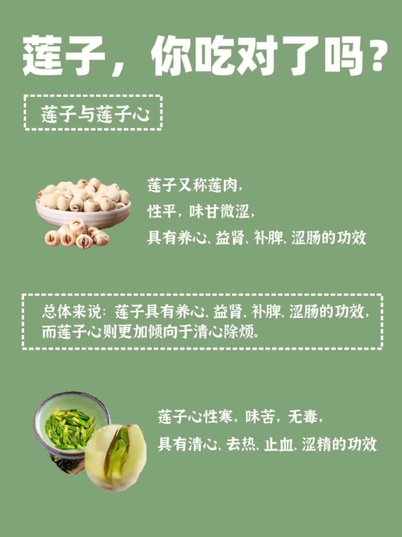 大量新鲜白莲子原产地上市，保证现采现发鲜莲草莲