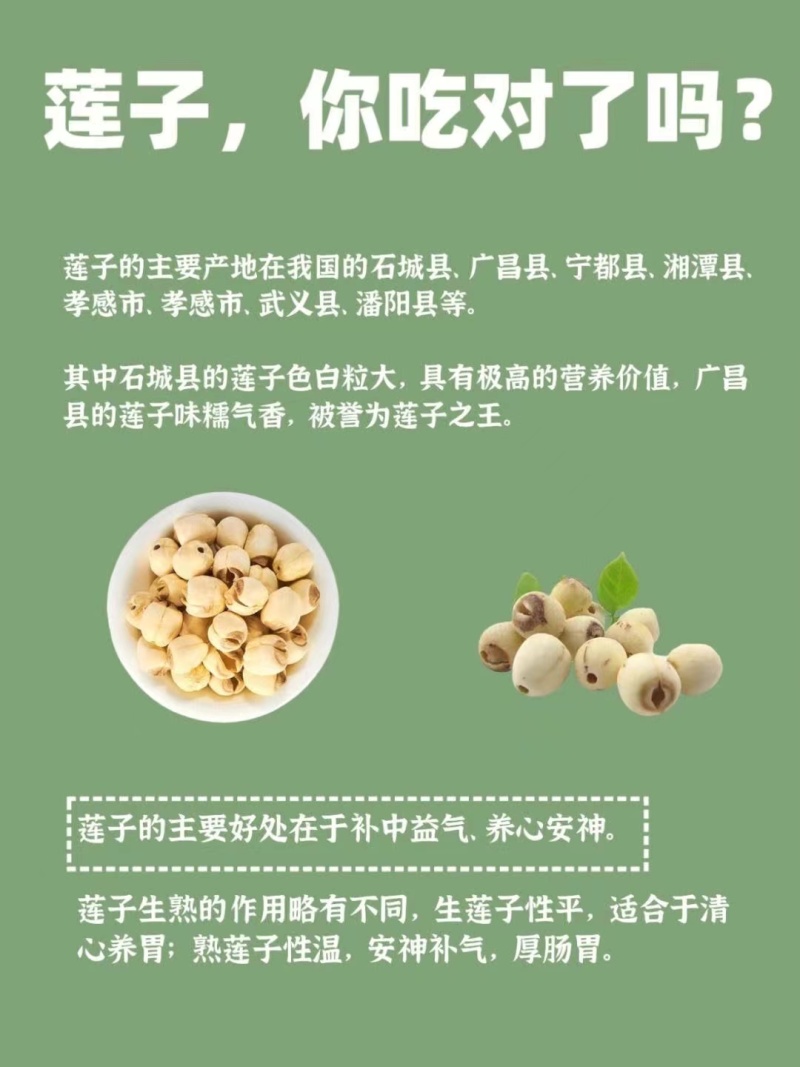 大量新鲜白莲子原产地上市，保证现采现发鲜莲草莲