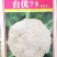 松花菜种子台优75早中熟小米粒青梗松花菜品种好种植