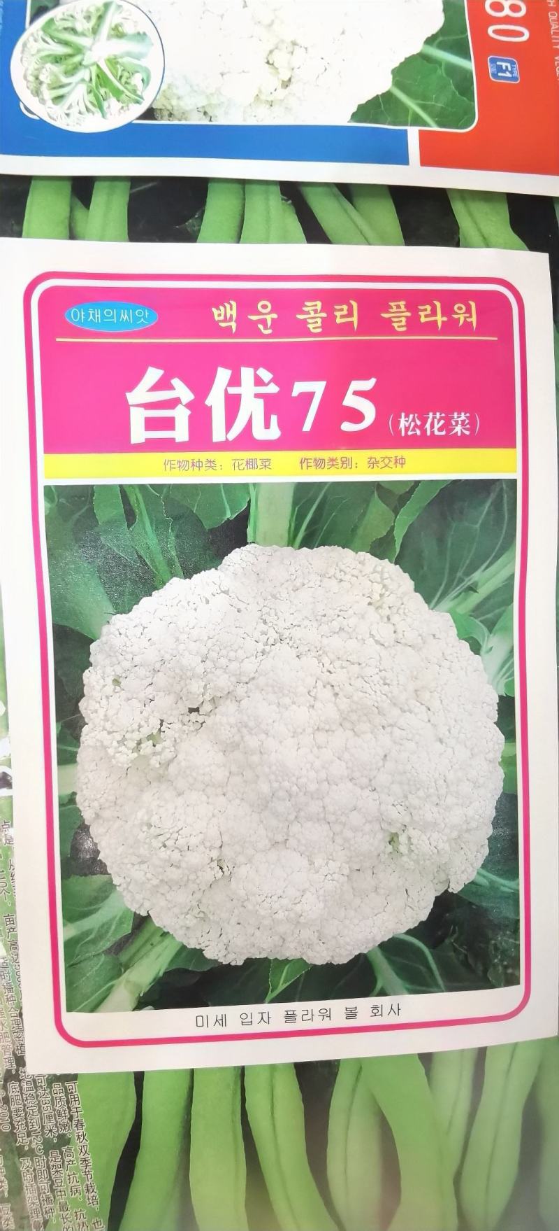 松花菜种子台优75早中熟小米粒青梗松花菜品种好种植
