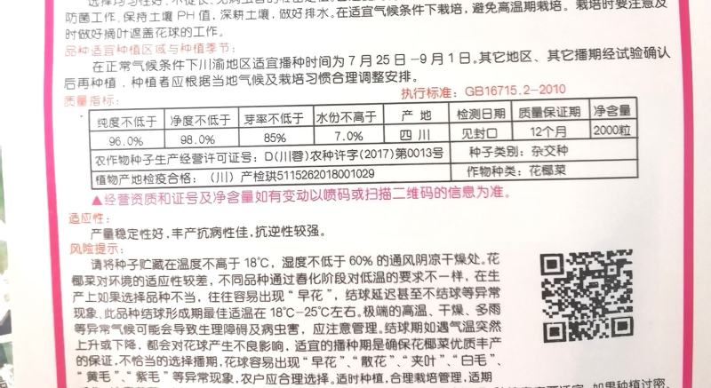 松花菜种子台优75早中熟小米粒青梗松花菜品种好种植