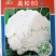 松花菜种子台优75早中熟小米粒青梗松花菜品种好种植