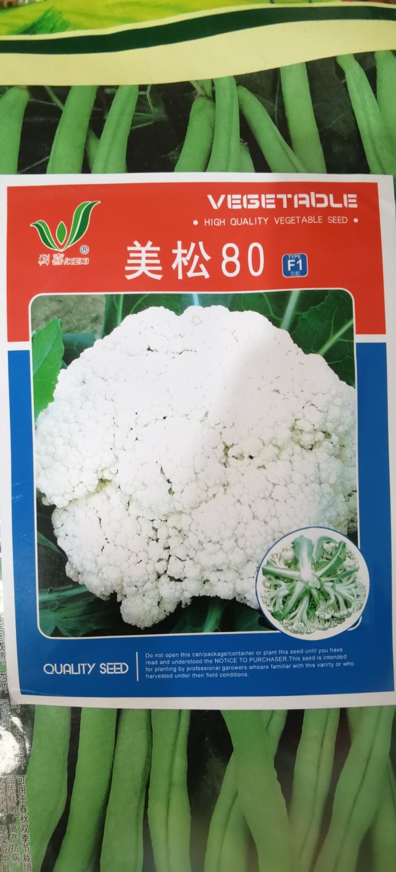 松花菜种子台优75早中熟小米粒青梗松花菜品种好种植