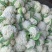 松花菜种子台优75早中熟小米粒青梗松花菜品种好种植