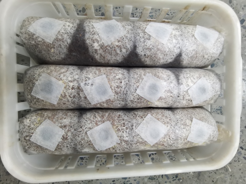 银耳、金耳、白参、灵芝等干、鲜货及菌种、菌包