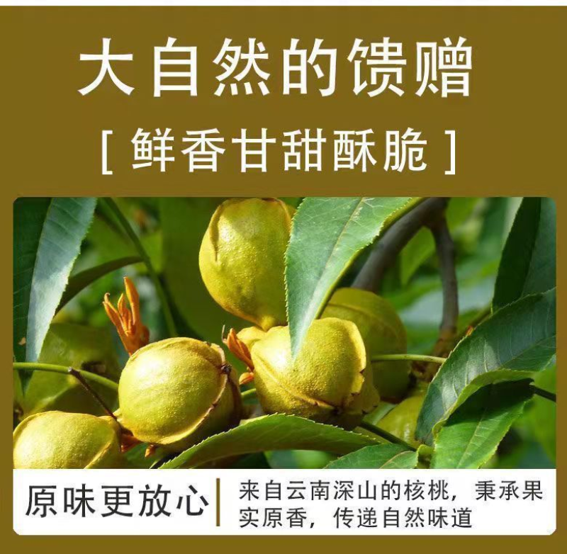 优质新果红皮核桃红衣核桃血核桃坚果干果批发代发配送全国各