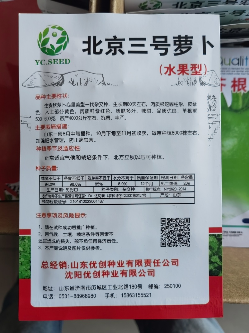 北京三号萝卜种子心里美萝卜种子