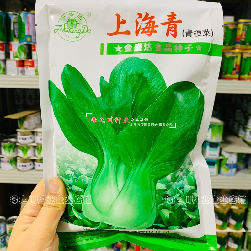 上海青菜种子秋冬四季蔬菜种籽