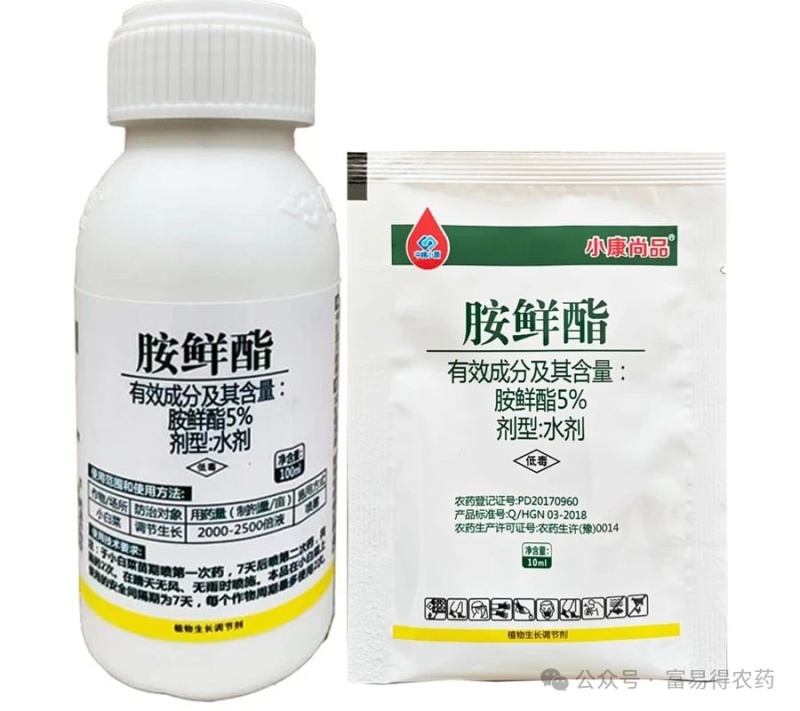 5%胺鲜酯调节生长增产增收保花保果抗逆防寒促进早熟