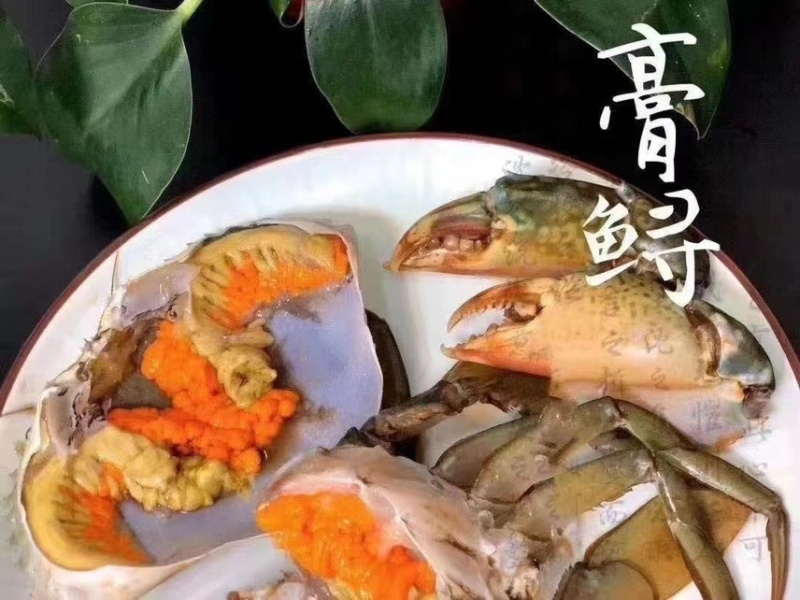 【锯缘青蟹】福建诏安本地膏肉保质保量包活到家螃蟹