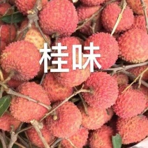 桂味荔枝