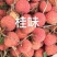 桂味荔枝