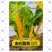 金叶甜菜种子根达菜种籽红绿黄色牛皮菜莙荙菜甜菜厚合菜特色