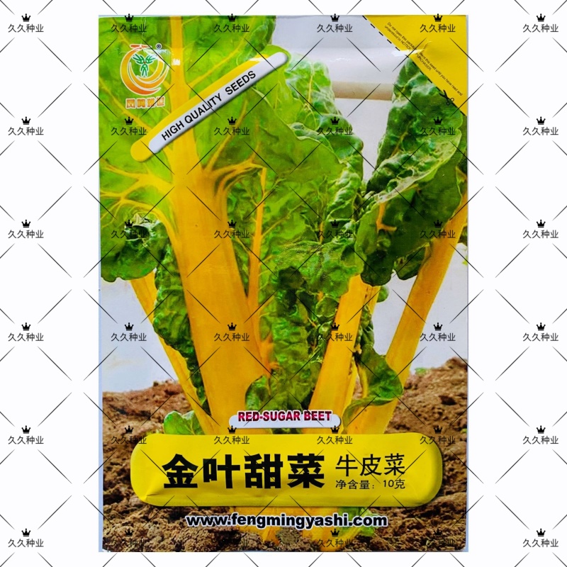 金叶甜菜种子根达菜种籽红绿黄色牛皮菜莙荙菜甜菜厚合菜特色