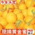 民勤蜜瓜