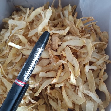 玉竹选片