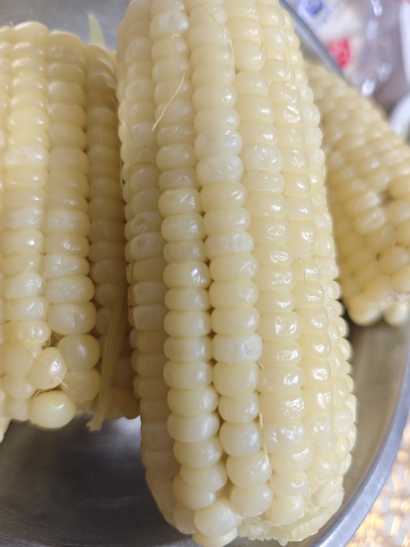 甜糯玉米