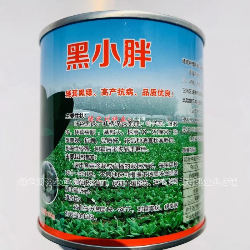 黑叶苏州青种子小青菜黑小胖青梗菜种籽矮脚油菜种子四季蔬菜