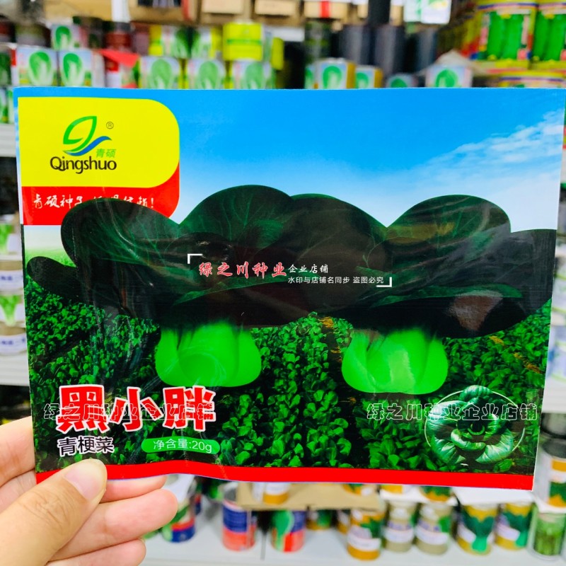 黑叶苏州青种子小青菜黑小胖青梗菜种籽矮脚油菜种子四季蔬菜