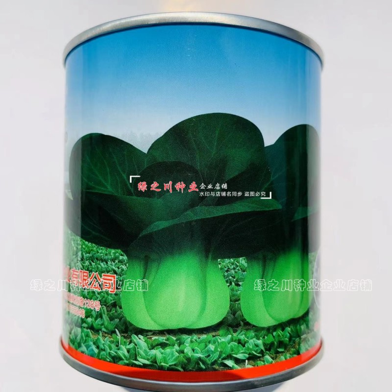 黑叶苏州青种子小青菜黑小胖青梗菜种籽矮脚油菜种子四季蔬菜